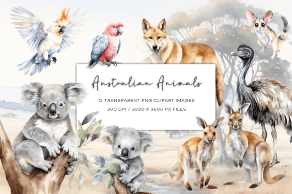 Download Australian Watercolor Animals Clipart - Premium Bundle